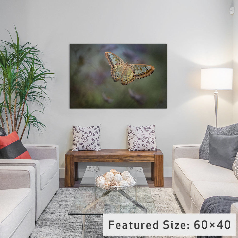 "Landing II" by Heather Bonadio, 40x26x1.5