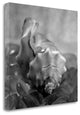 "Crystal Cove - 42" By Alan Blaustein, Giclee Print on Gallery Wrap Canvas