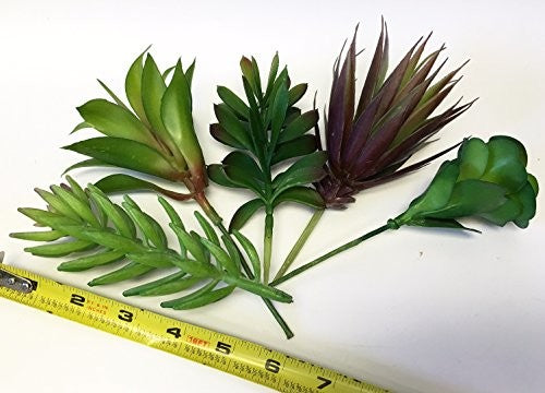 20 Long Large Stems