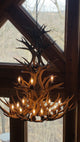 Mule Deer Cascade Antler Chandelier Light, Extra Large, Rawhide Shades