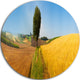 Tuscany Wheat Field Hill Panorama, Landscape Disc Metal Wall Art, 36"