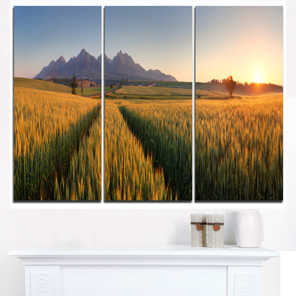 "Summer Wheat Fields Slovakia" Metal Wall Art, 3 Panels, 36"x28"