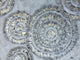 Original Abstract Art "Silver Brilliance" Hand Painted Canvas Wall Decor