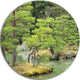 Japanese Garden In Early Autumn, Landscape Photo Disc Metal Art, 38"