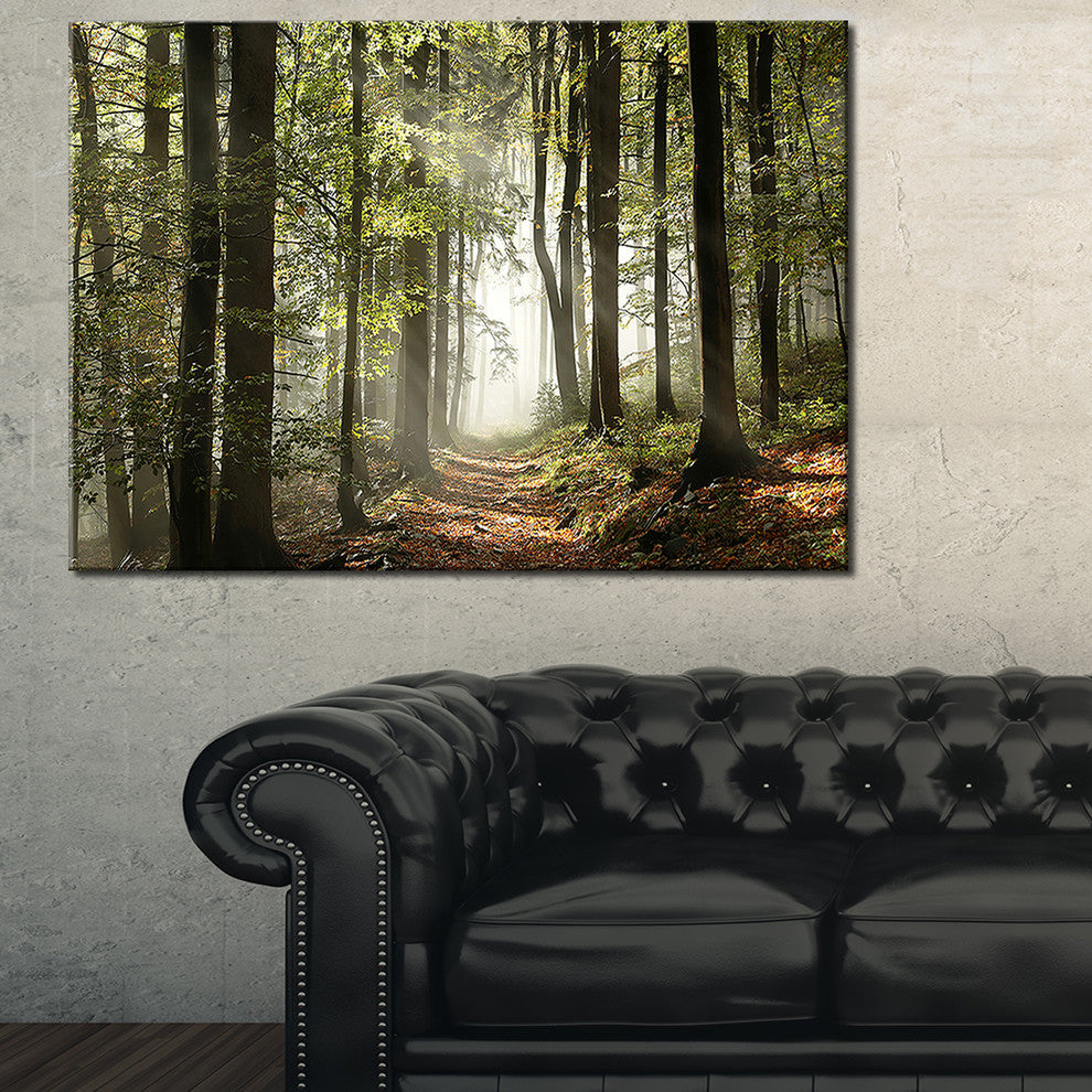 "Green Fall Forest With Sun Rays" Landscape Canvas Photo Print, 40"x20"