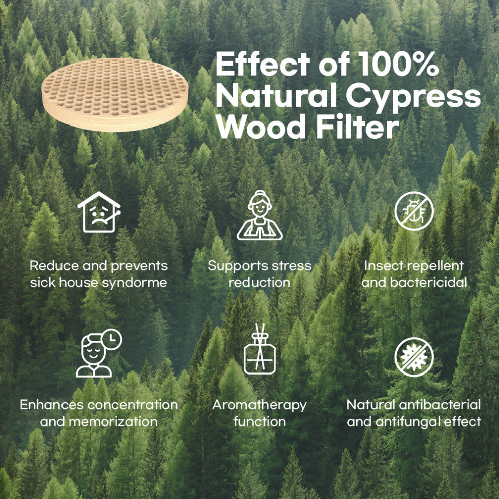 Office or Bedroom Air Purifier, Black