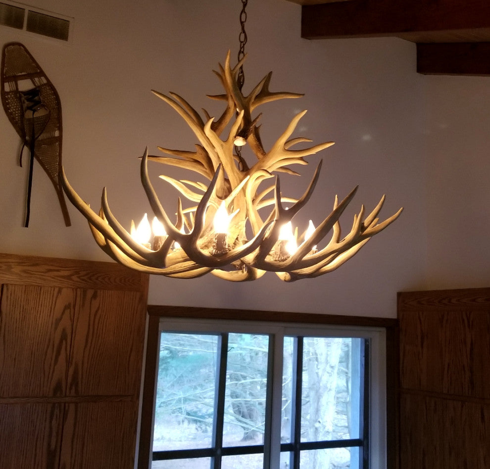 Mule Deer Royal Crown Antler Chandelier Light, Large, Rawhide Shades