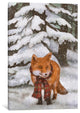 "Winter Fox" by Terry Fan, 18x12x1.5
