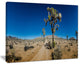 "Sandy Desert Road Panorama" Landscape Wall Art Print, 40"x30"