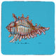 Conch Coaster - 3 Sets of 4 (12 Total)