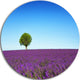 Green Tree Among Lavender Flowers, Landscape Round Metal Wall Art, 36"