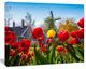 Tulips in the Netherlands Village, Floral Canvas Art Print, 40"x30"