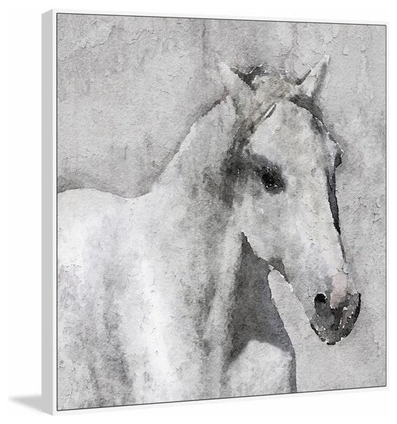 "Gray Elegant Horse" Floater Framed Painting Print on Canvas, 16"x16"