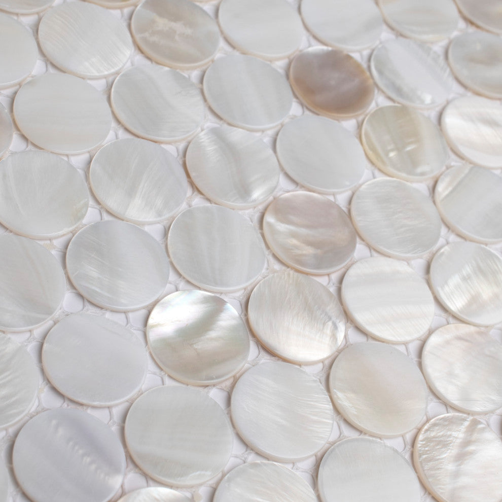Conchella Mini Penny White Natural Shell Wall Tile