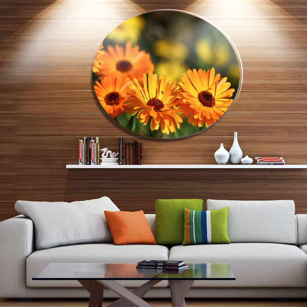 Blooming Orange Marigold Flowers, Floral Disc Metal Wall Art, 23"