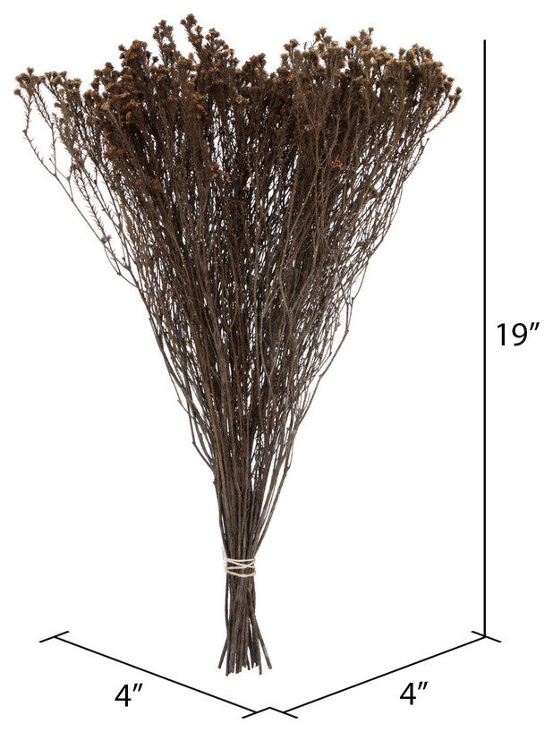 Natural Botanicals 19" x 4" Staavia, 100 grams per Unit , Natural, 19" x 4"