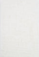 Danso Shag DA-04 Ivory Area Rug, 3'x5'