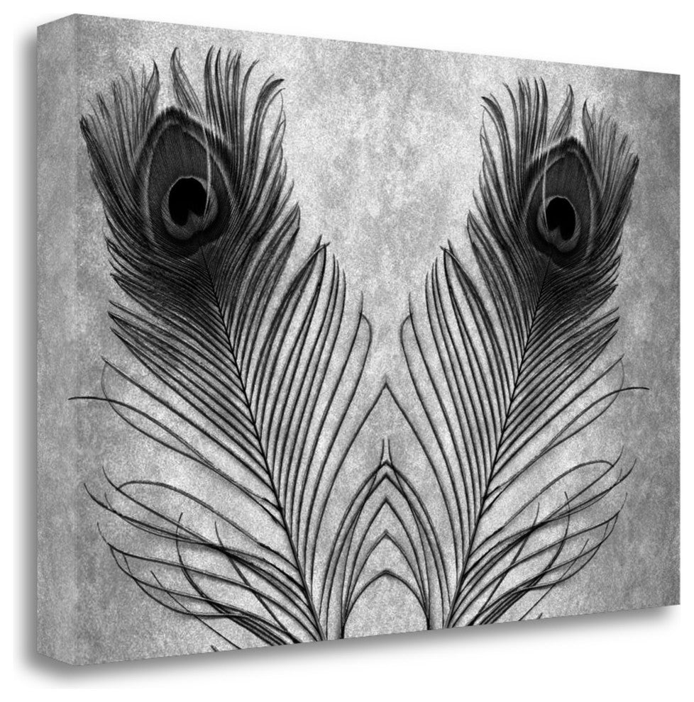 "Untitled" By Alan Blaustein, Giclee Print on Gallery Wrap Canvas, Ready to Hang
