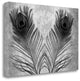 "Untitled" By Alan Blaustein, Giclee Print on Gallery Wrap Canvas, Ready to Hang