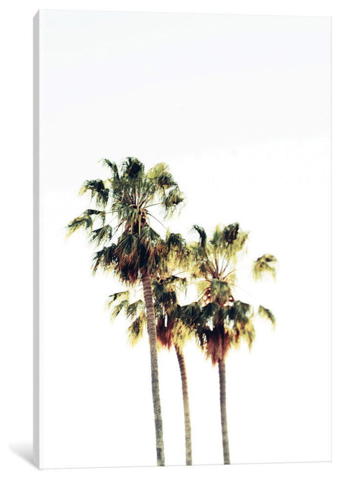 "The Palms Blanc" by Chelsea Victoria, 26"x18"x1.5"