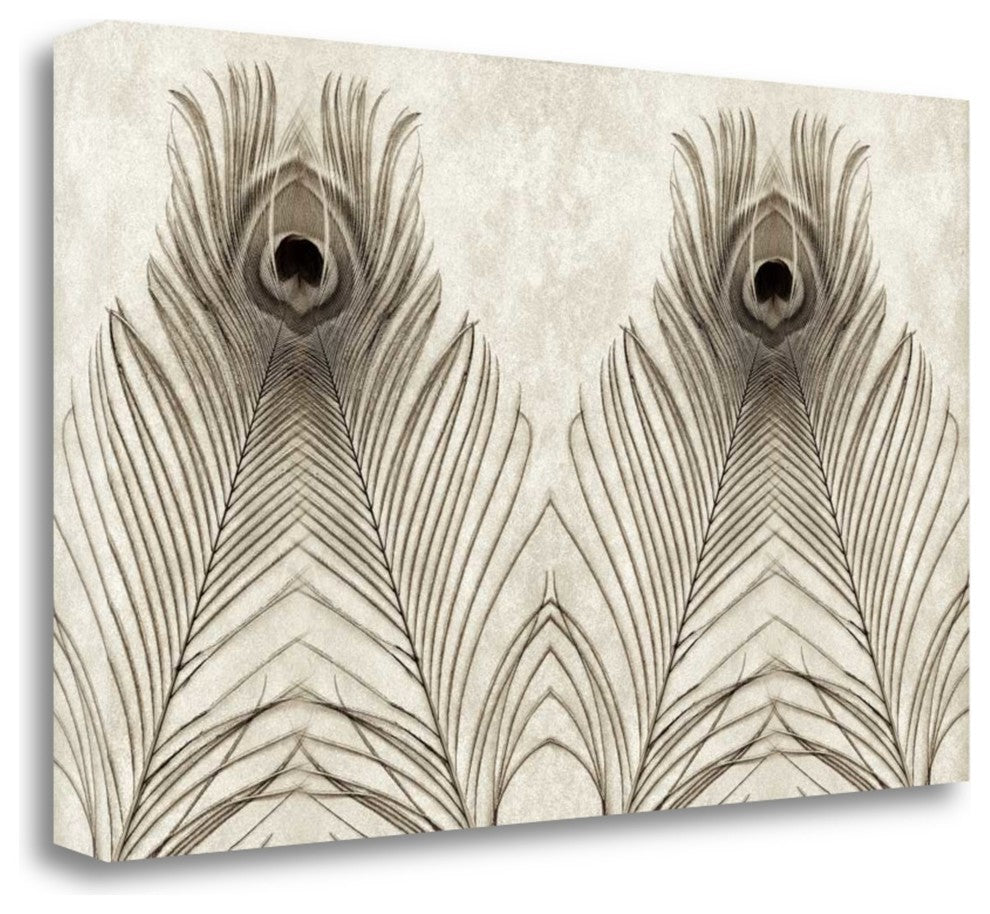 "Feathers Panel - 5" By Alan Blaustein, Giclee Print on Gallery Wrap Canvas