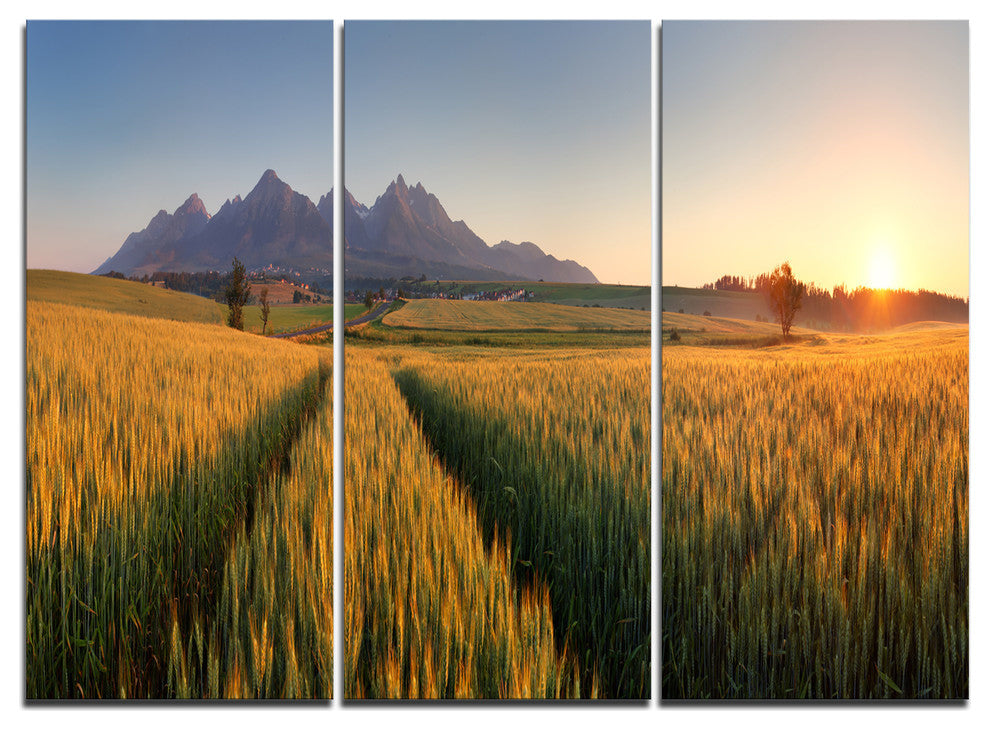 "Summer Wheat Fields Slovakia" Metal Wall Art, 3 Panels, 36"x28"