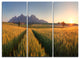 "Summer Wheat Fields Slovakia" Metal Wall Art, 3 Panels, 36"x28"