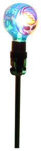Dancing Bear Bulb