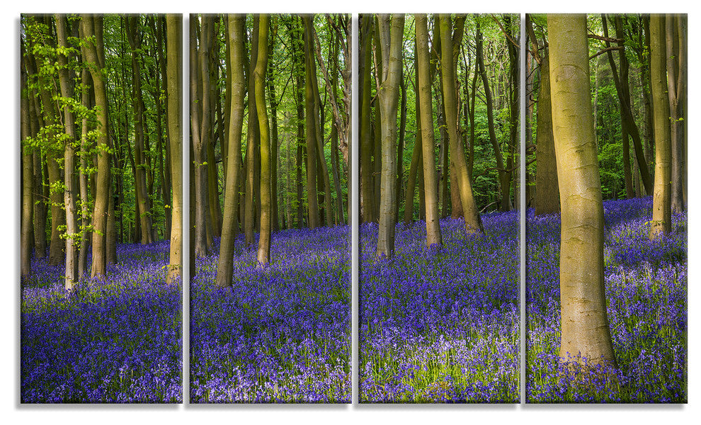 Bluebell Woods in Oxfordshire, Landscape Canvas Art Print, 48"x28", 4 Panels