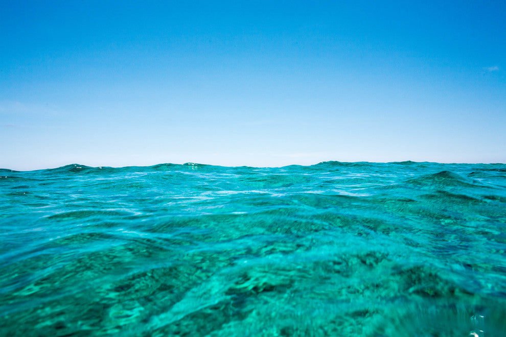 Underwater Photographic Image "Blue Horizon", 20x30, Canvas Gallery Wrap