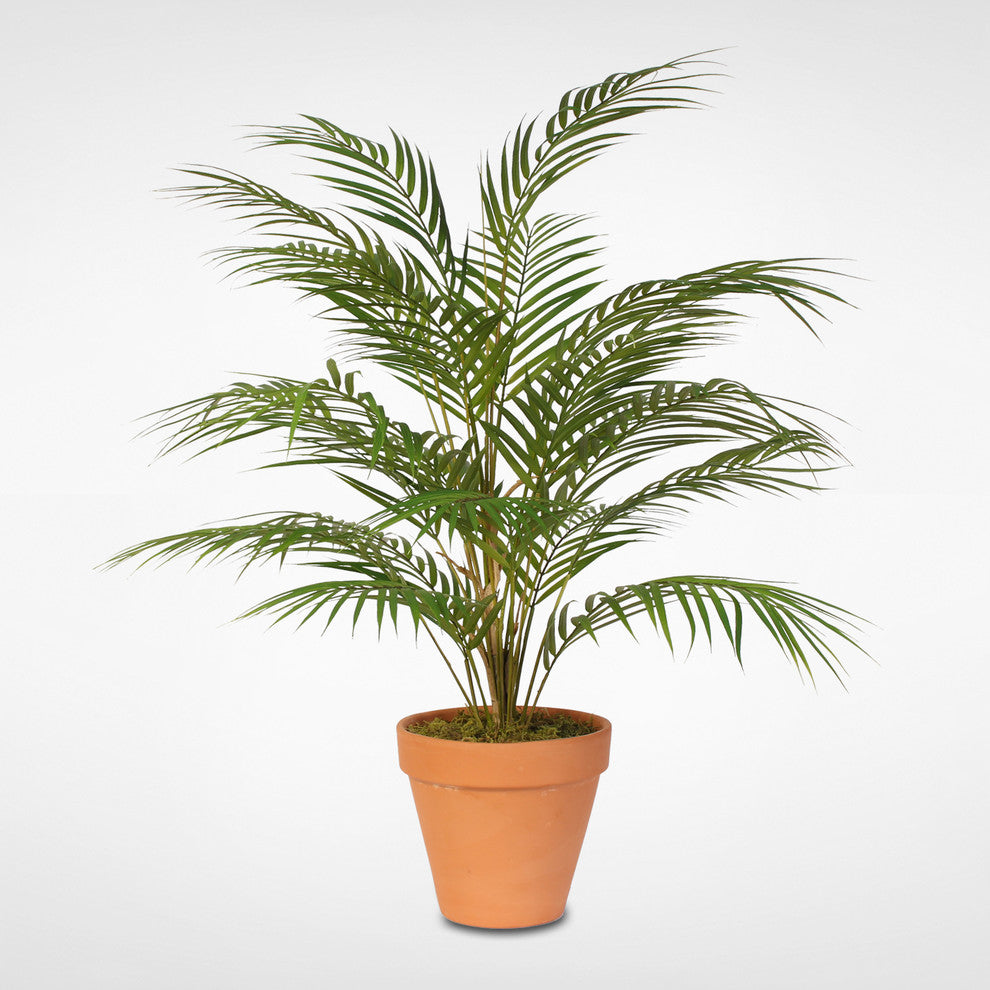 Real Touch Artificial Areca Palm Plant in a Small Clay Pot