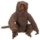 Baboon, Large Adult