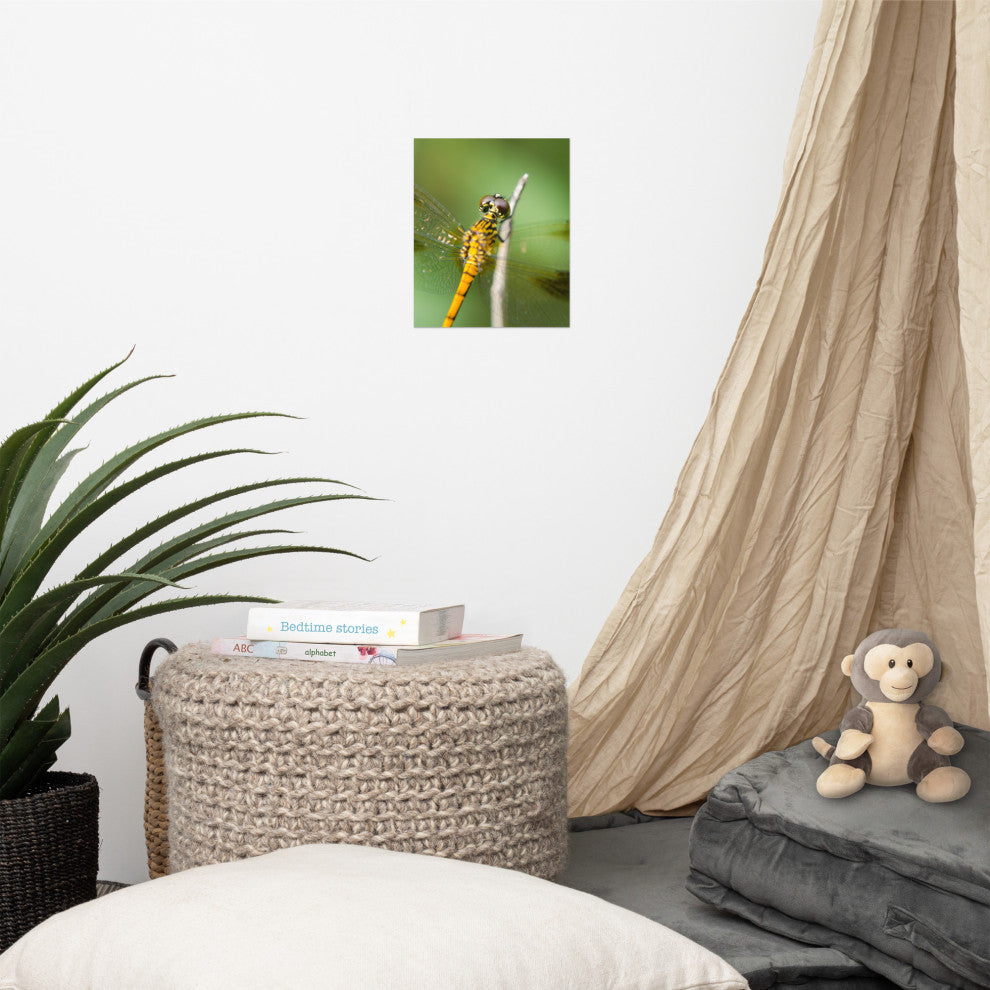 Dragonfly at Bombay Hook Wildlife Photography Unframed Wall Art Print, 8" X 10"