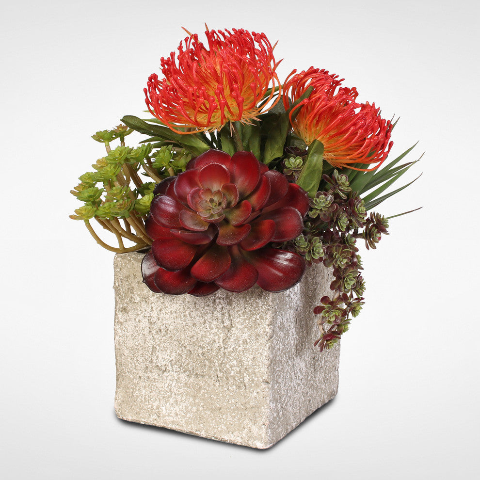 Jade Plant and Rosette Succulents Arrangement in Cement Pot