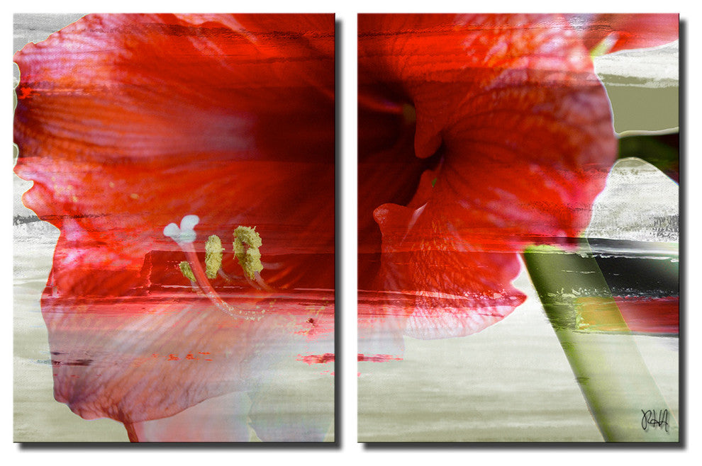 Painted Petals XLIX 2-Piece Canvas Art 30"x30"