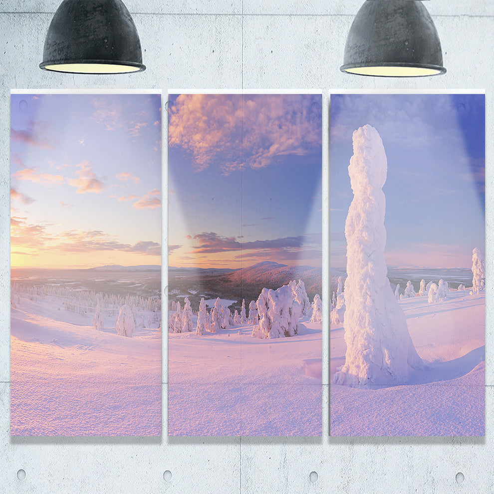 "Frozen Trees on Mountain Panorama" Metal Wall Art, 3 Panels, 36"x28"