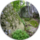 Rocky Deep Moss Forest Ukraine, Landscape Disc Metal Wall Art, 23"