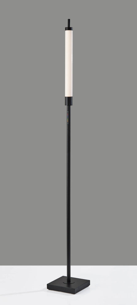 Collin LED Color Changing Floor Lamp