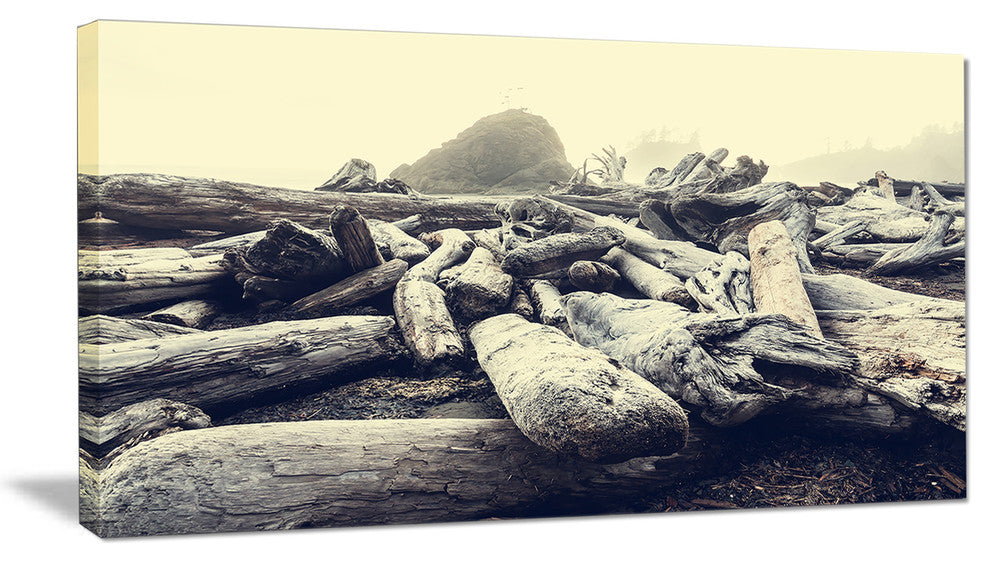 "Olympic National Park Landscape" Modern Landscape Wall Art Canvas, 40"x20"