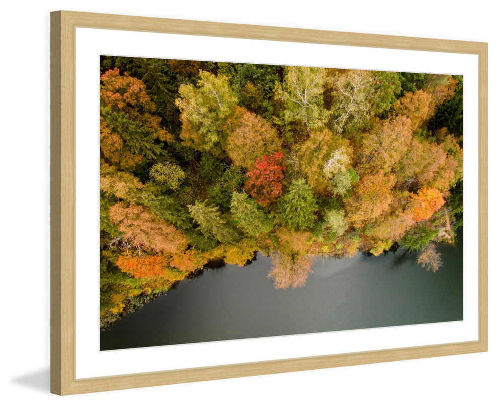 "Nature's Flora" Framed Print by Karolis Janulis