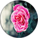 Red Rose In Vintage Style, Floral Digital Art Round Wall Art, 11"