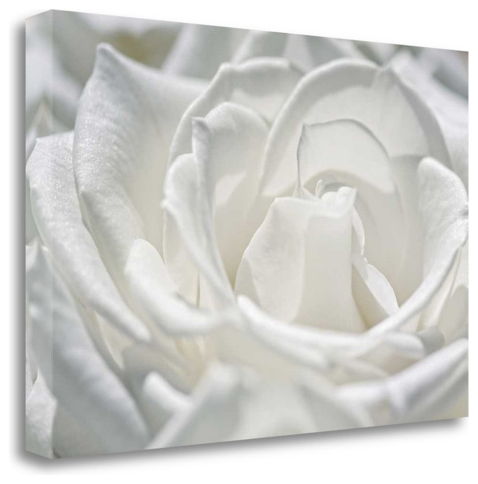 "Coolness" By Dina Marie, Giclee Print on Gallery Wrap Canvas, Ready to Hang