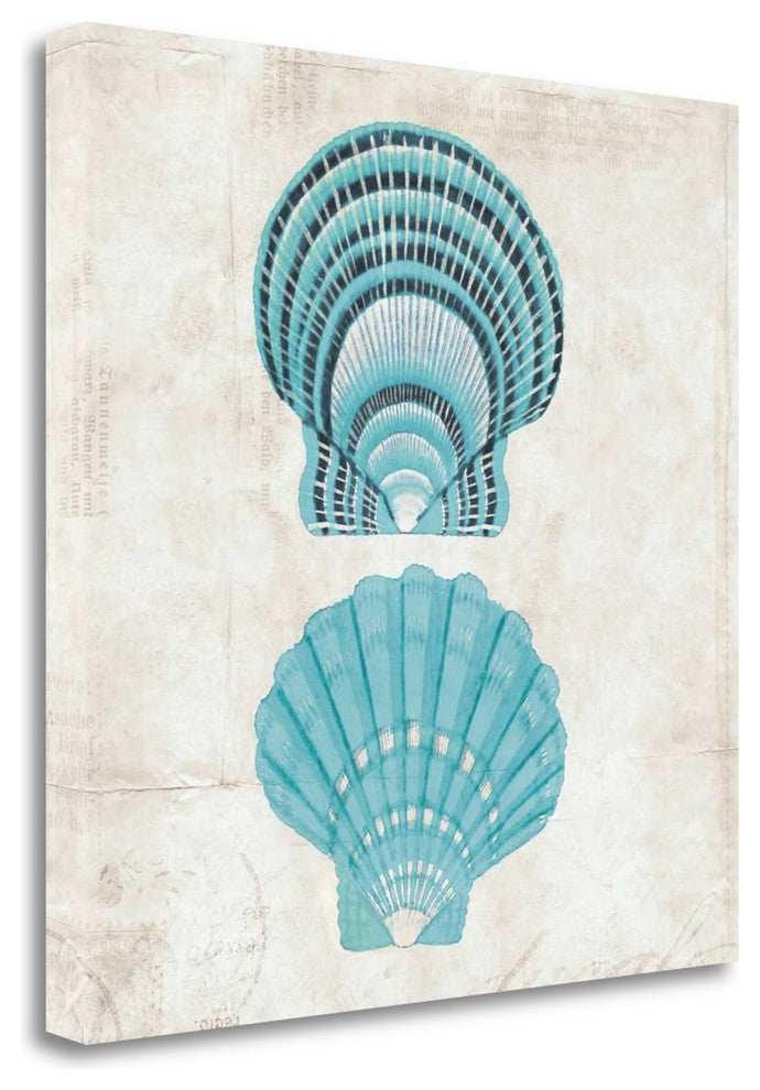 "Under The Sea III" By Sabine Berg, Giclee Print on Gallery Wrap Canvas