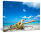 "Deadwood on White Sand Beach" Contemporary Seascape Wall Art, 40"x30"