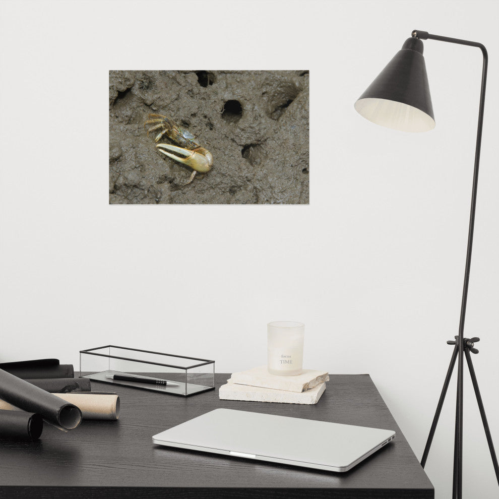 Fiddler Crab Wildlife Photography Unframed Wall Art Print, 12" X 18"