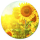 Bright Sunflowers Blooming On Field, Animal Disc Metal Artwork, 23"