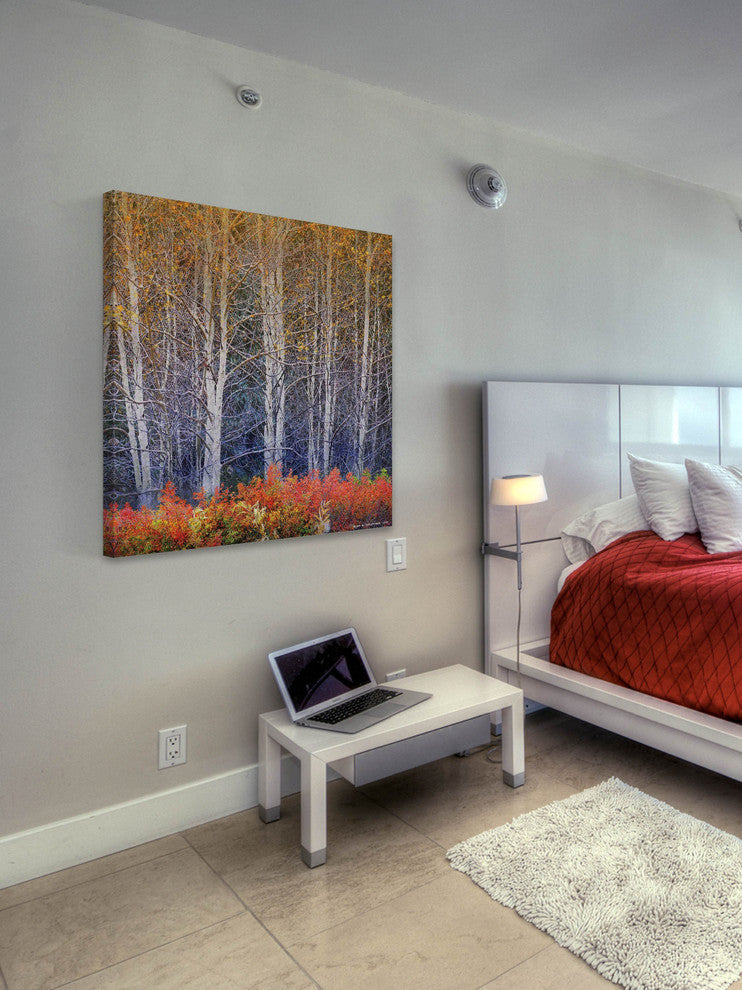 "Aspens and Briar" Painting Print on Canvas by Chris Vest