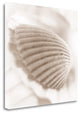 "Atlantis 3" By Alan Blaustein,Ready to Hang Giclee Print on Gallery Wrap Canvas