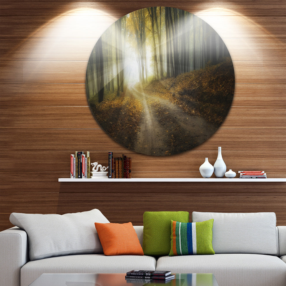 Bright Sun Rays In Colorful Fall, Landscape Photo Round Wall Art, 38"