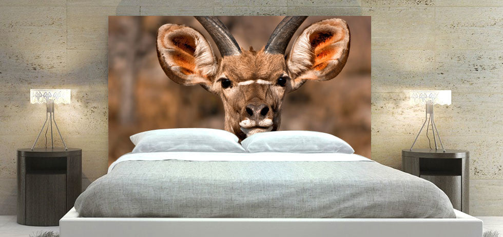 "Buck" Headboard